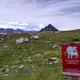 “Suckler cows protect their calves - keep your distance, please!”